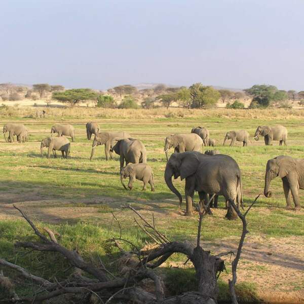 Motorradreisen Afrika Kenia Gruppe Abendessen